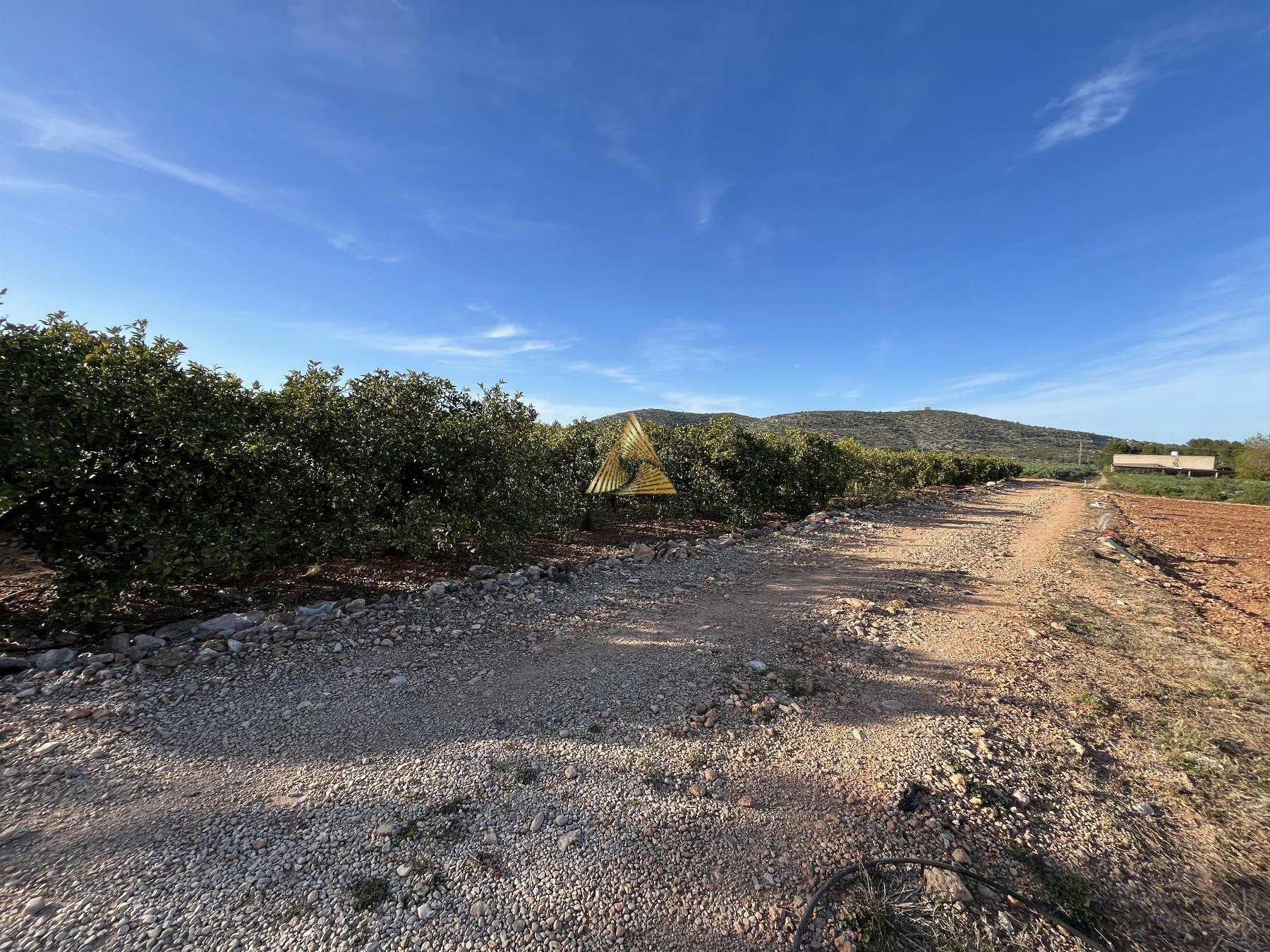 Venta de terreno en Benicarló