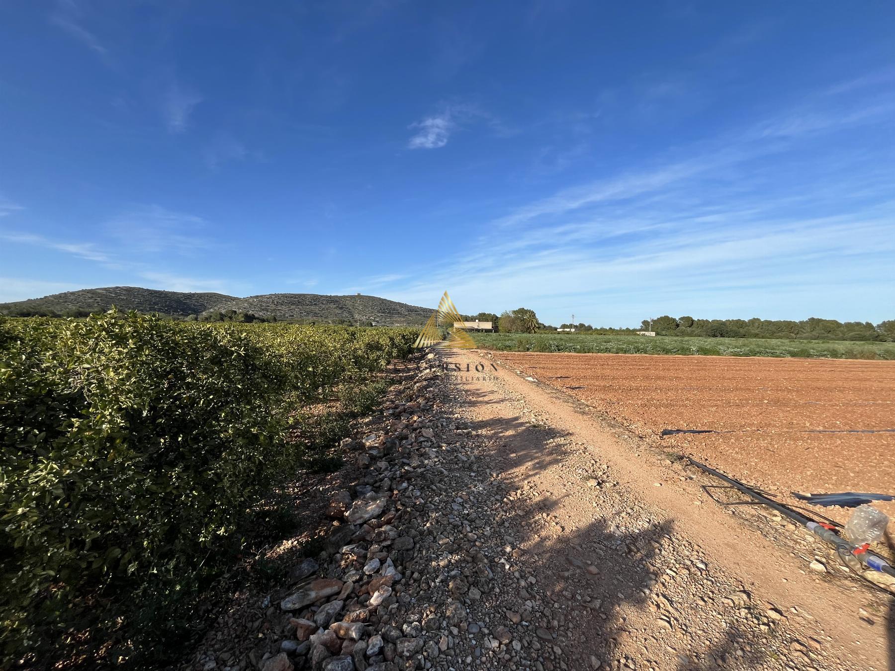 Venta de terreno en Benicarló