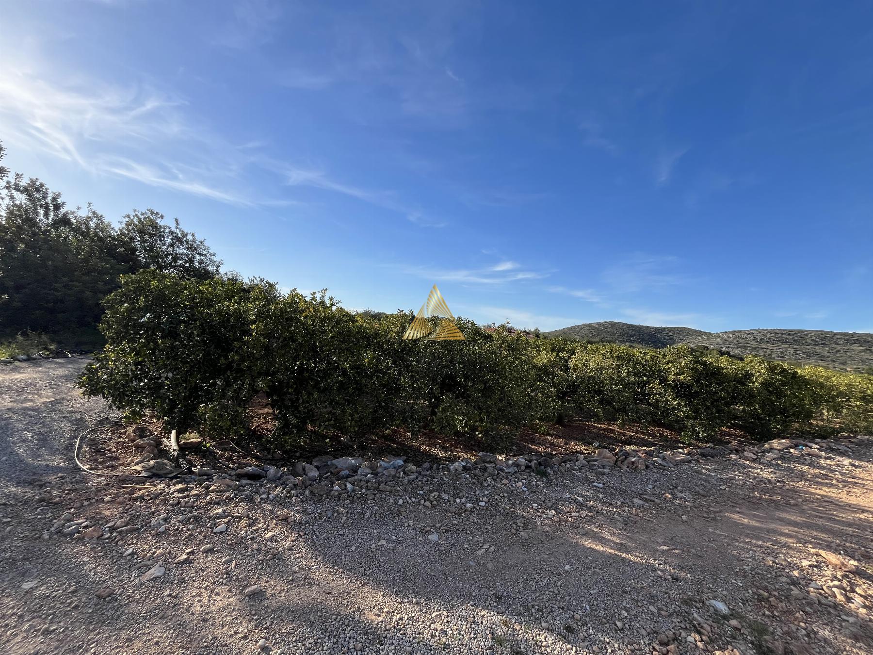 Venta de terreno en Benicarló