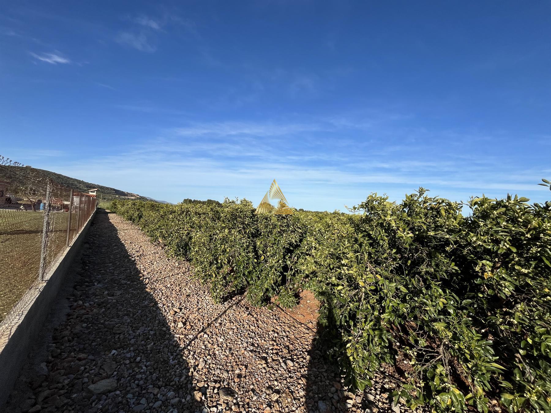 Venta de terreno en Benicarló