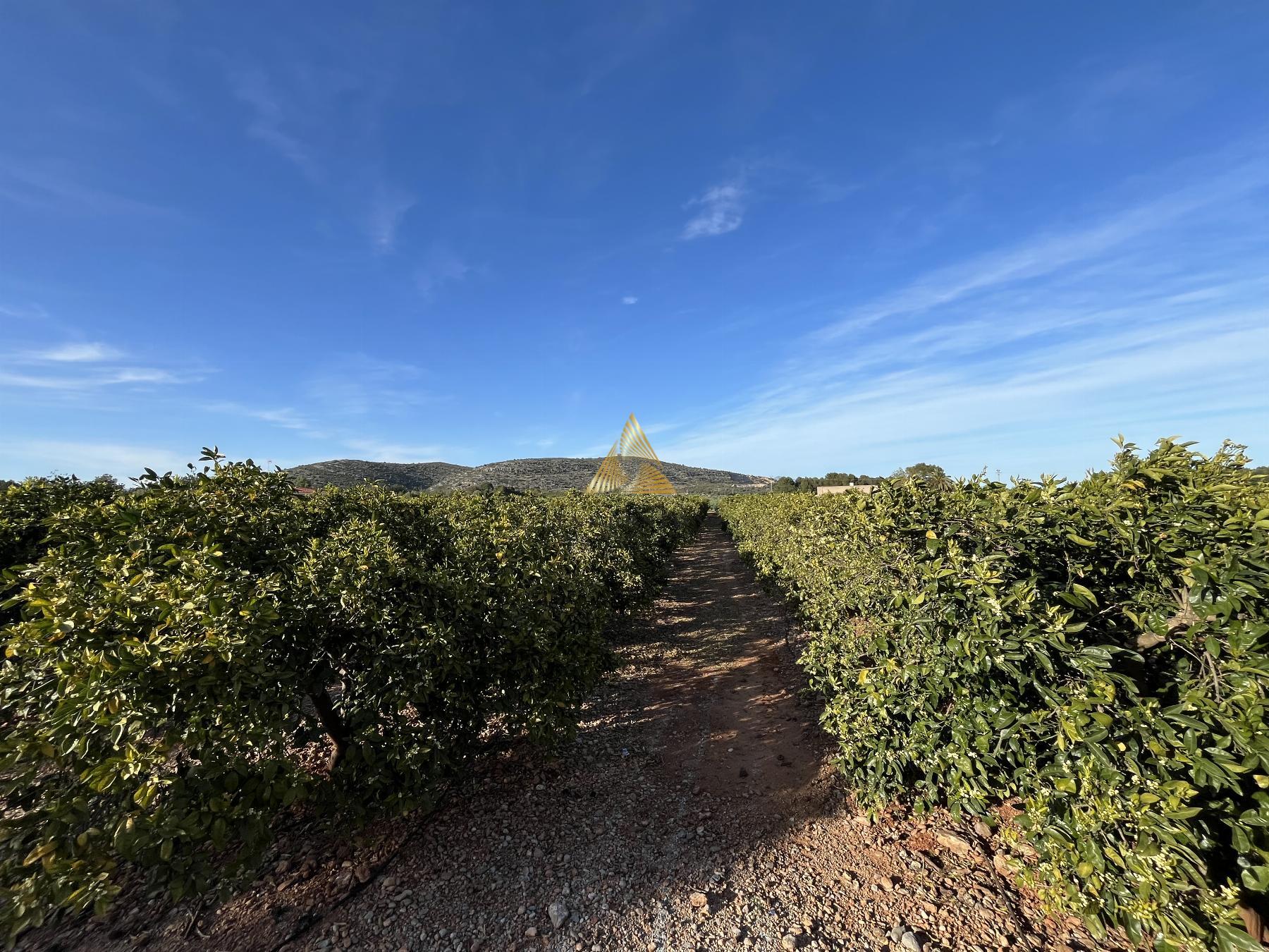 Venta de terreno en Benicarló