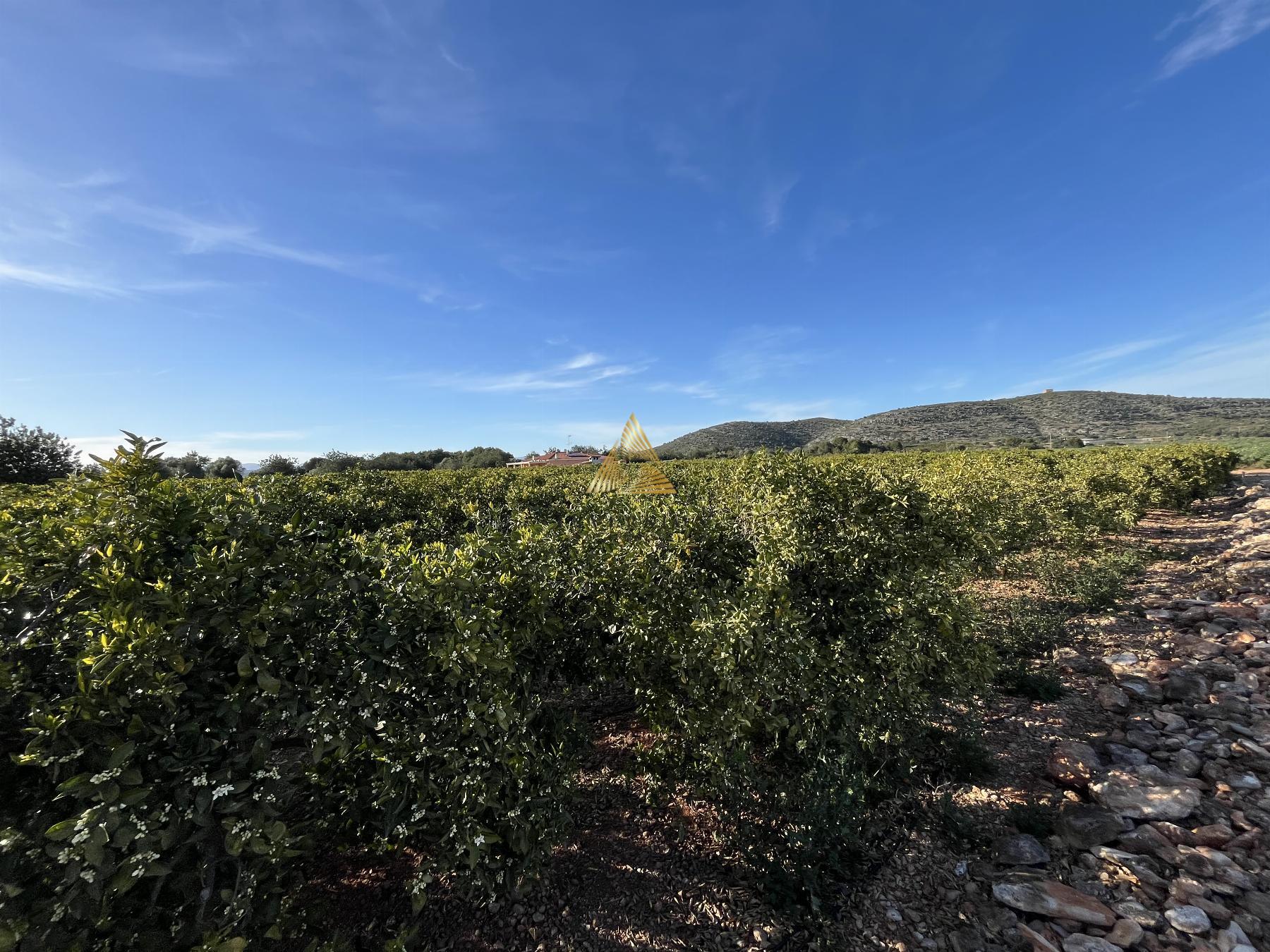 Venta de terreno en Benicarló
