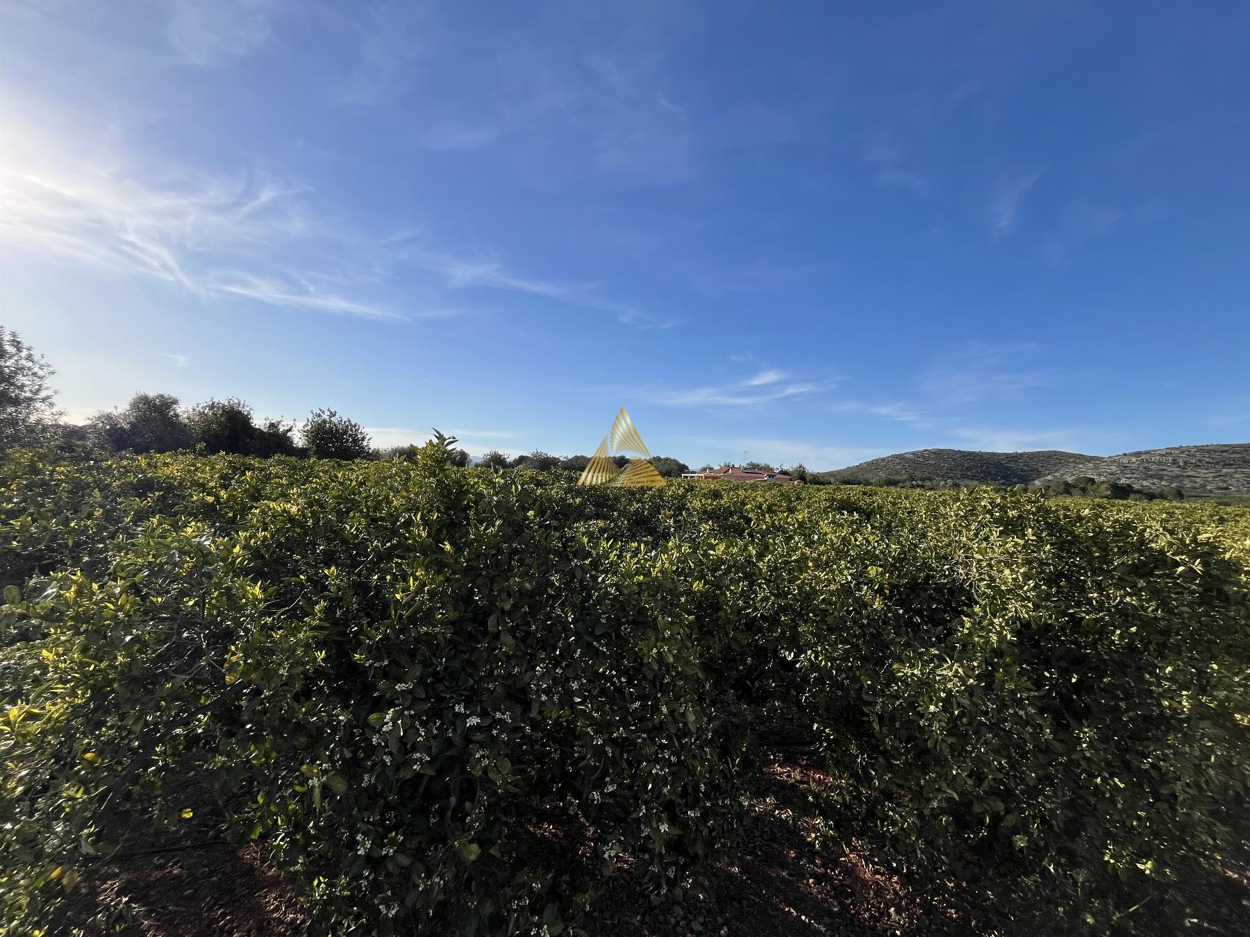 Venta de terreno en Benicarló