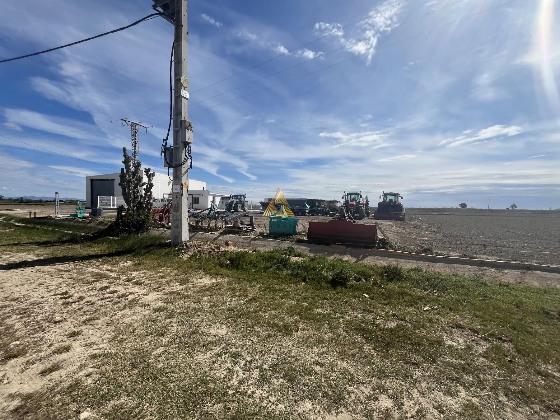 Venta de chalet en Amposta