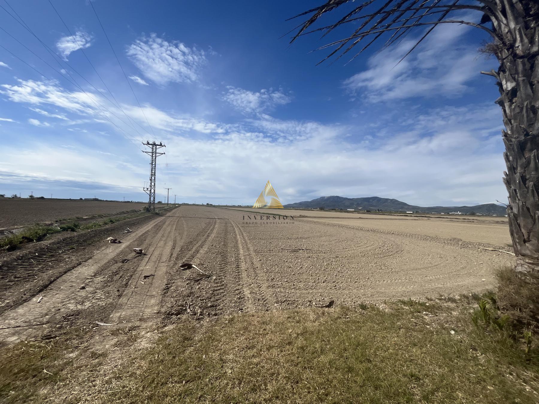 Venta de chalet en Amposta