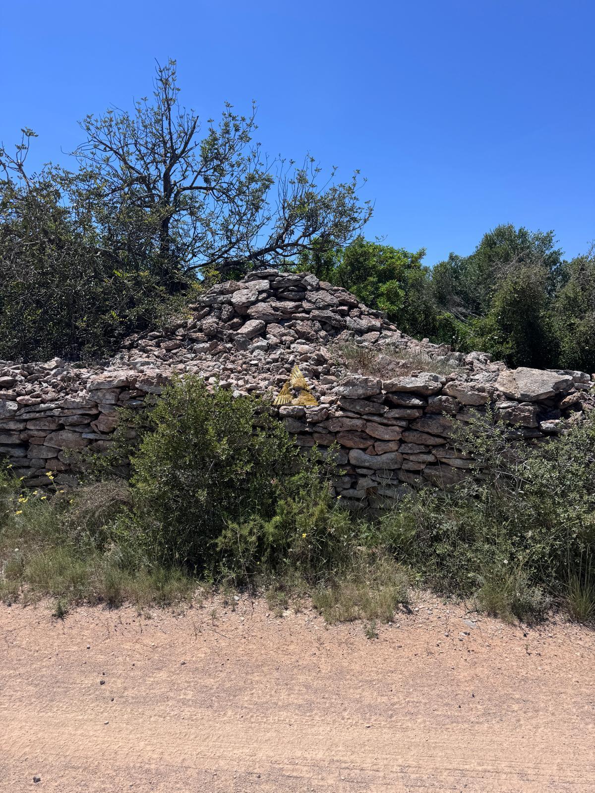 Venta de finca rústica en Vinaroz