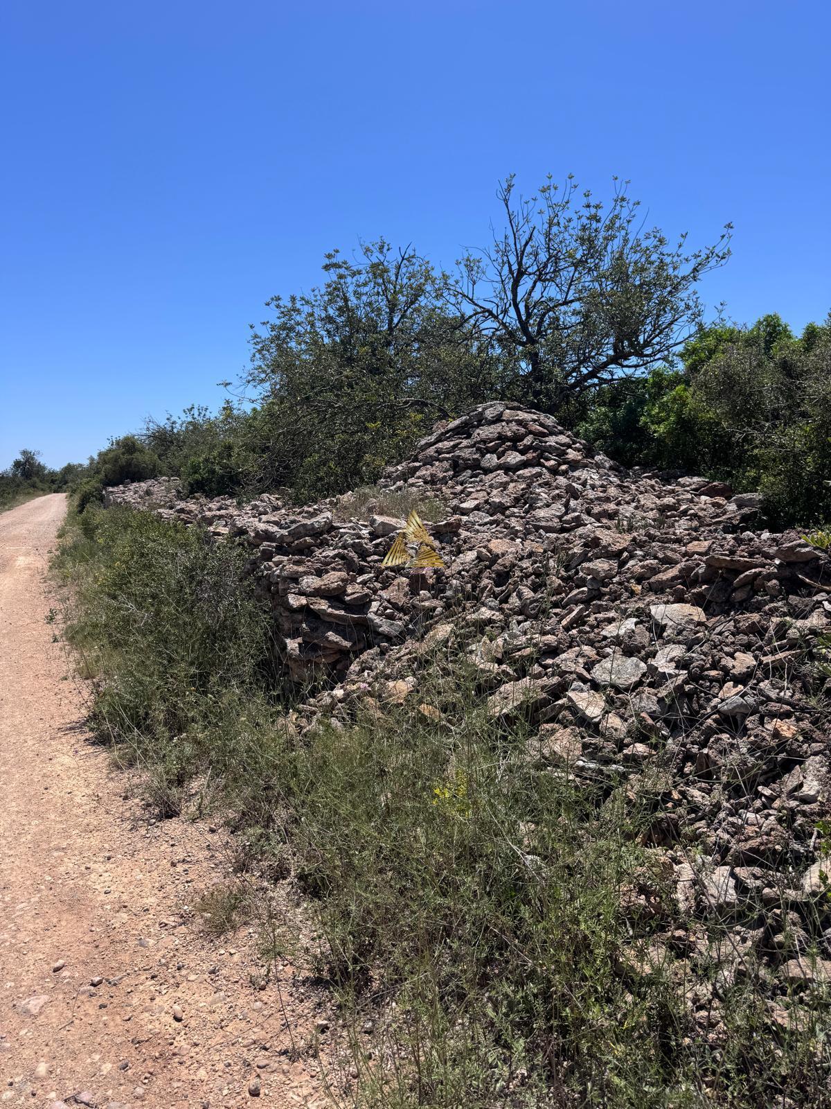 Venta de finca rústica en Vinaroz