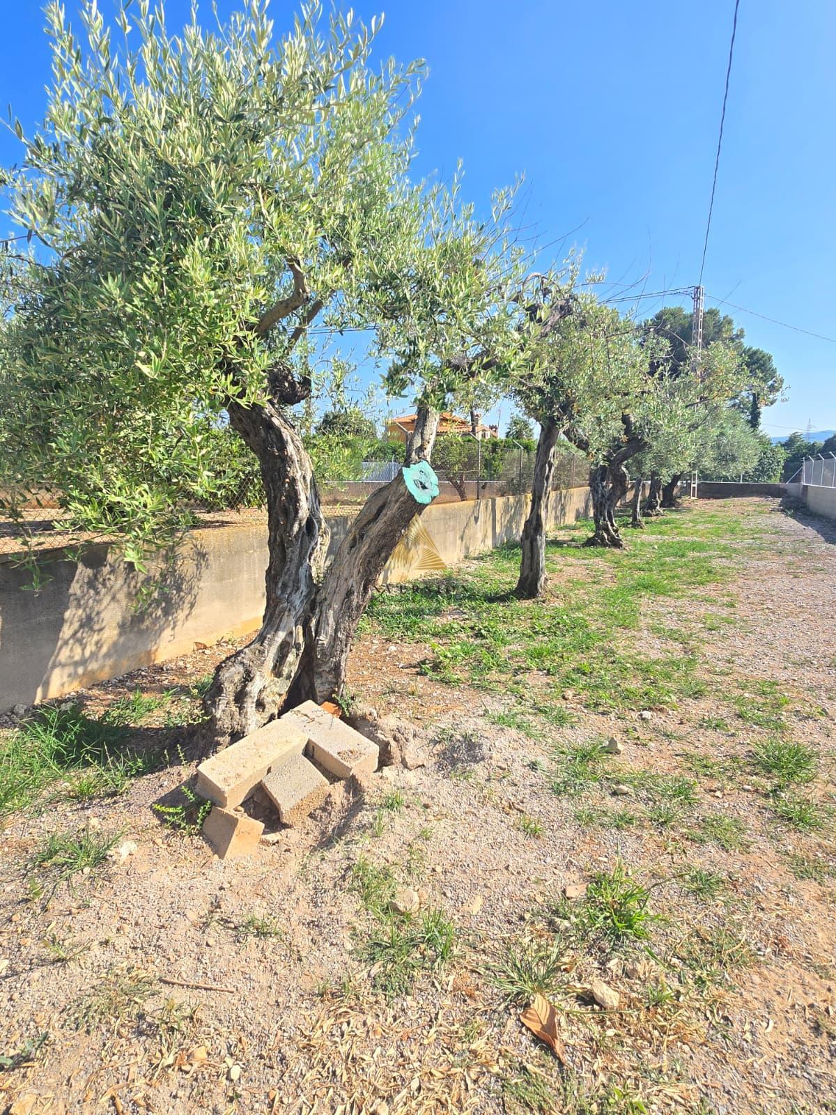 Venta de chalet en Benicarló
