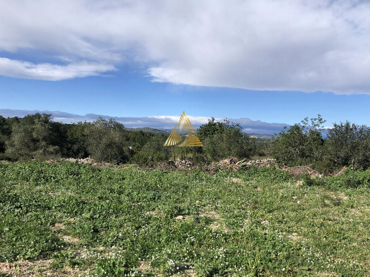 Venta de terreno en Peñíscola