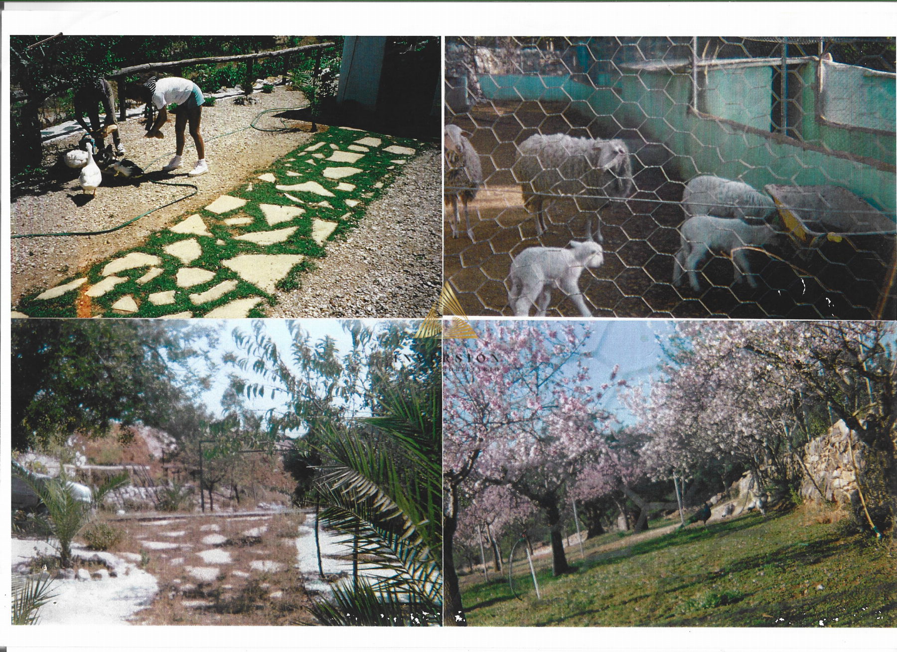 Venta de terreno en Peñíscola