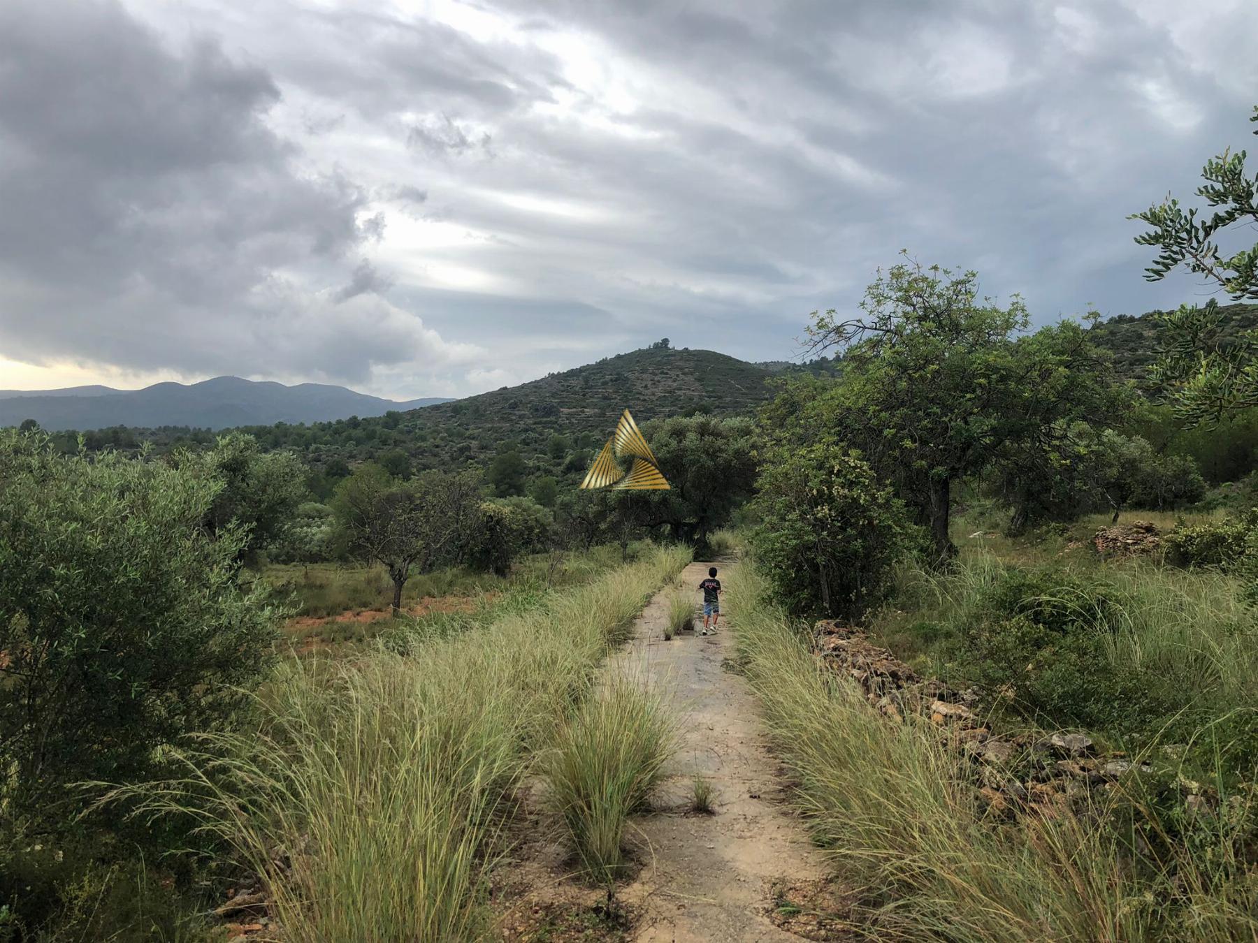 Venta de terreno en Peñíscola