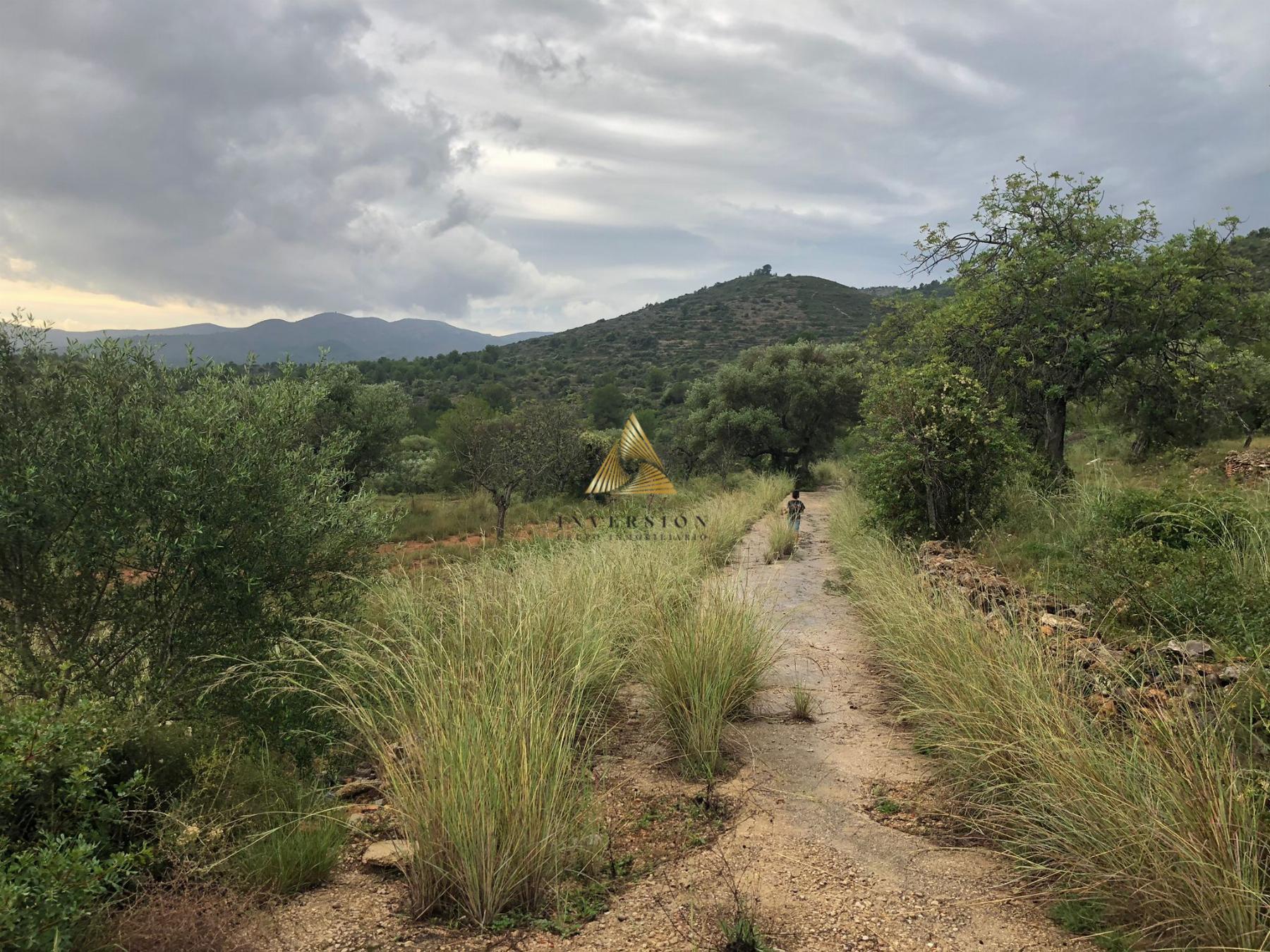 Venta de terreno en Peñíscola