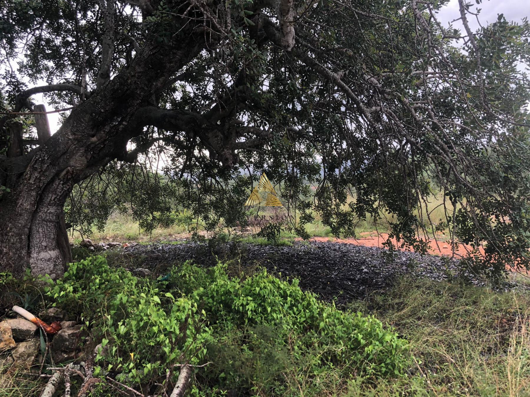 Venta de terreno en Peñíscola