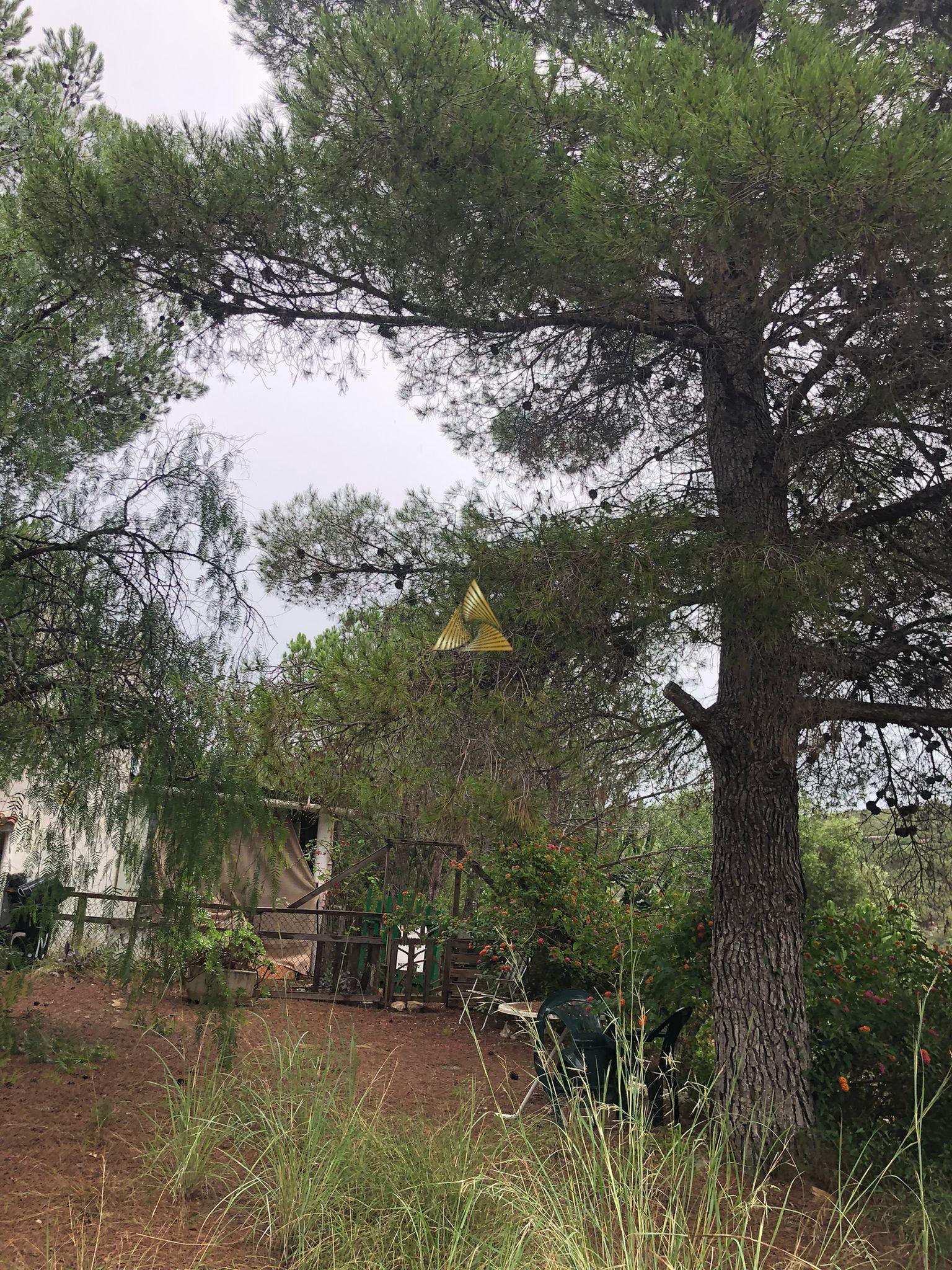 Venta de terreno en Peñíscola