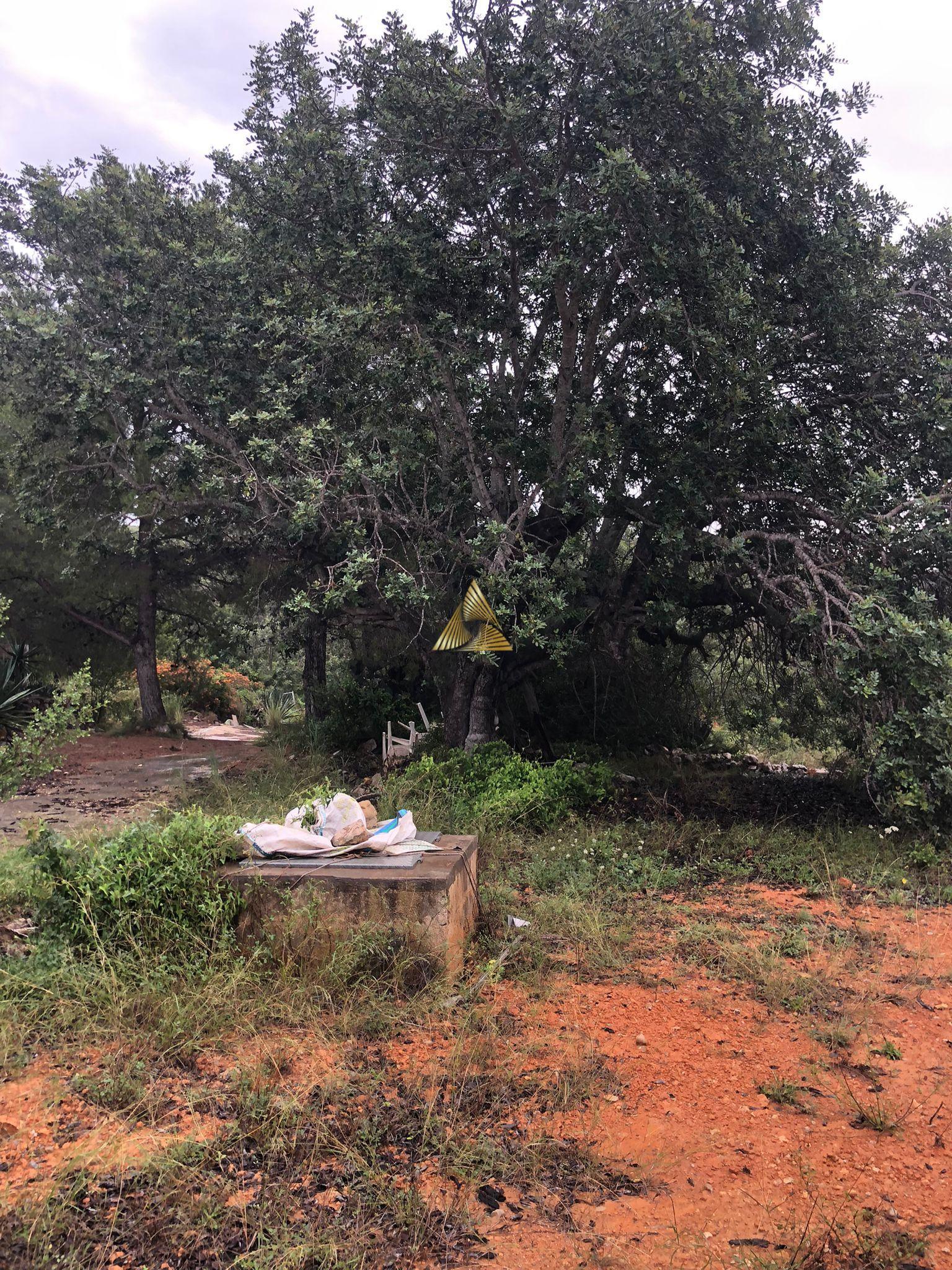 Venta de terreno en Peñíscola