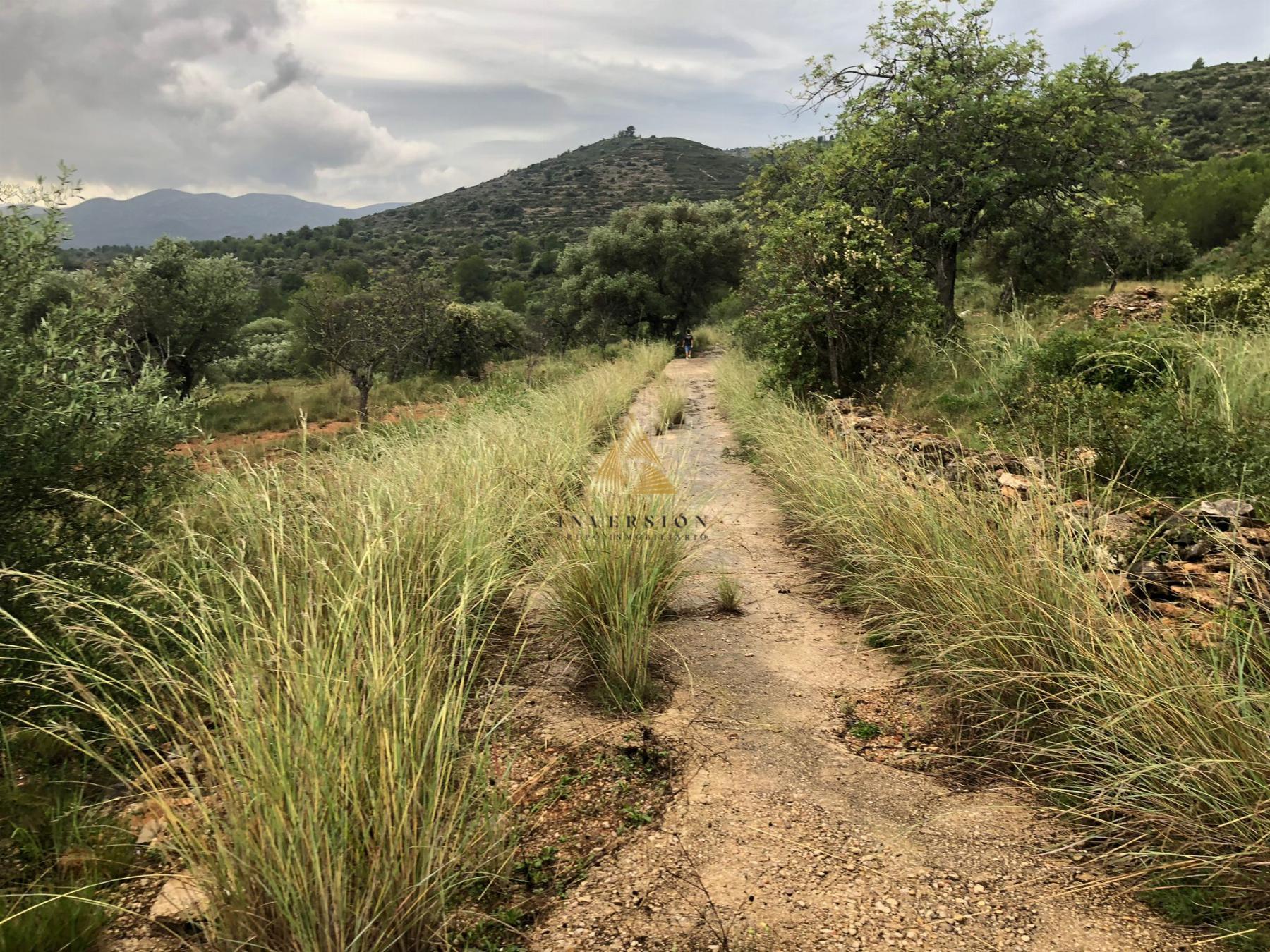 Venta de terreno en Peñíscola