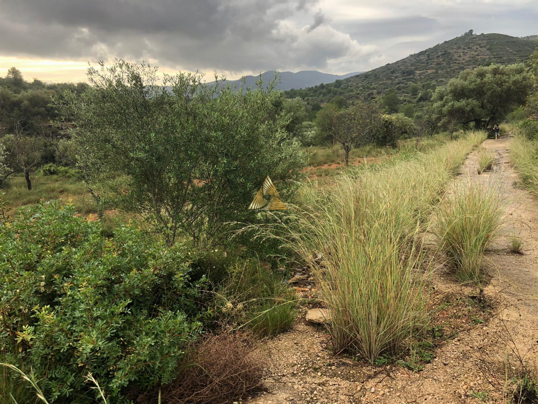 Venta de terreno en Peñíscola