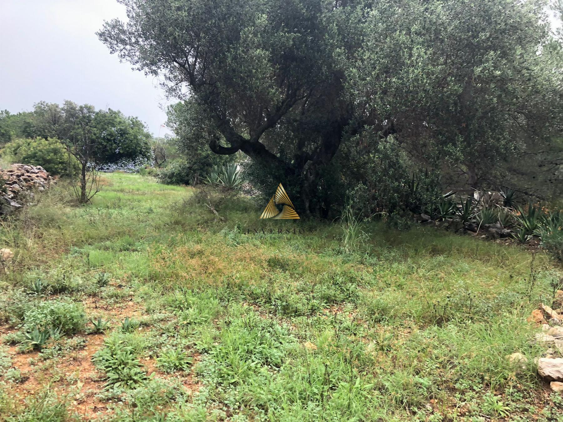 Venta de terreno en Peñíscola