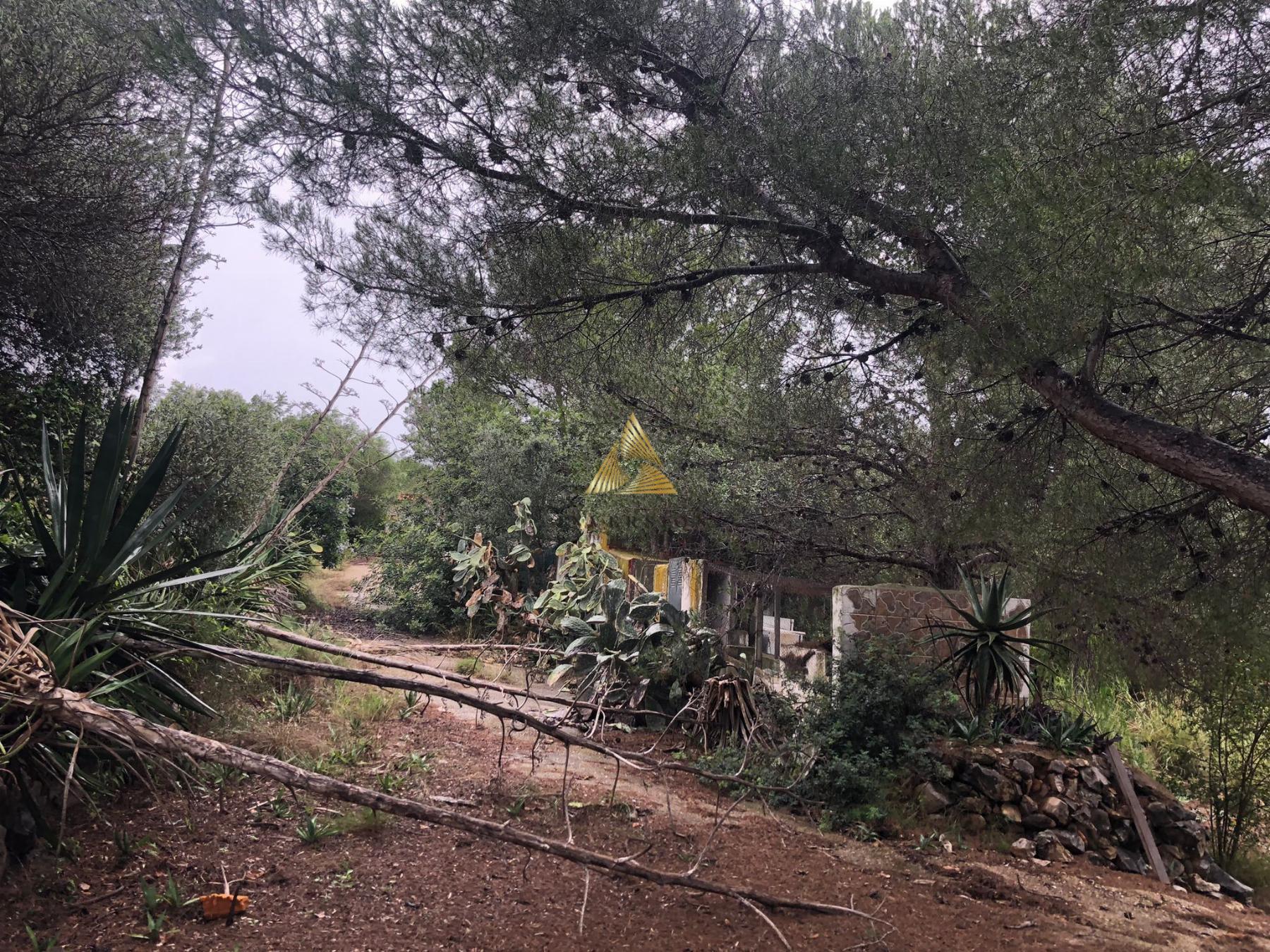 Venta de terreno en Peñíscola