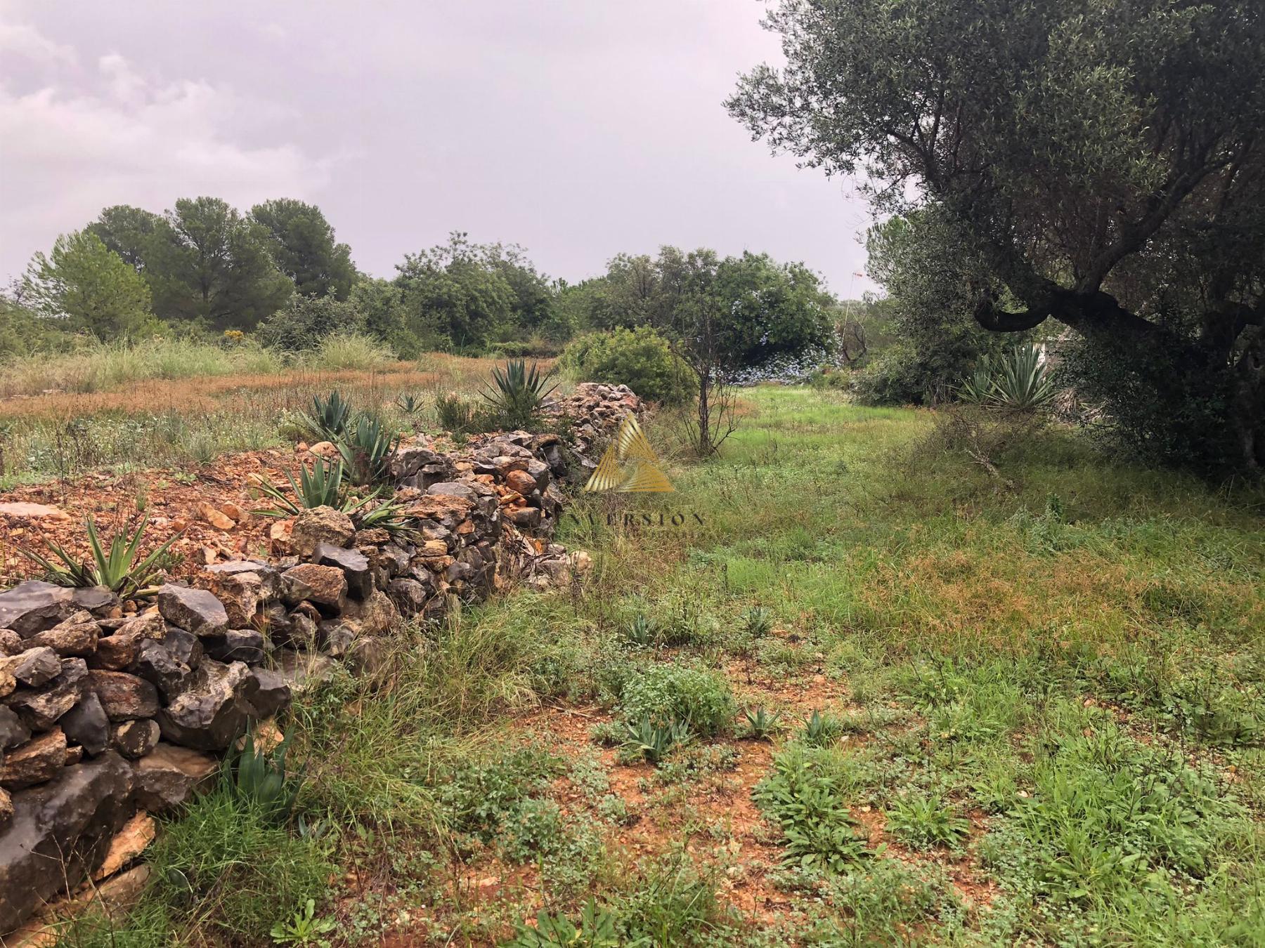 Venta de terreno en Peñíscola