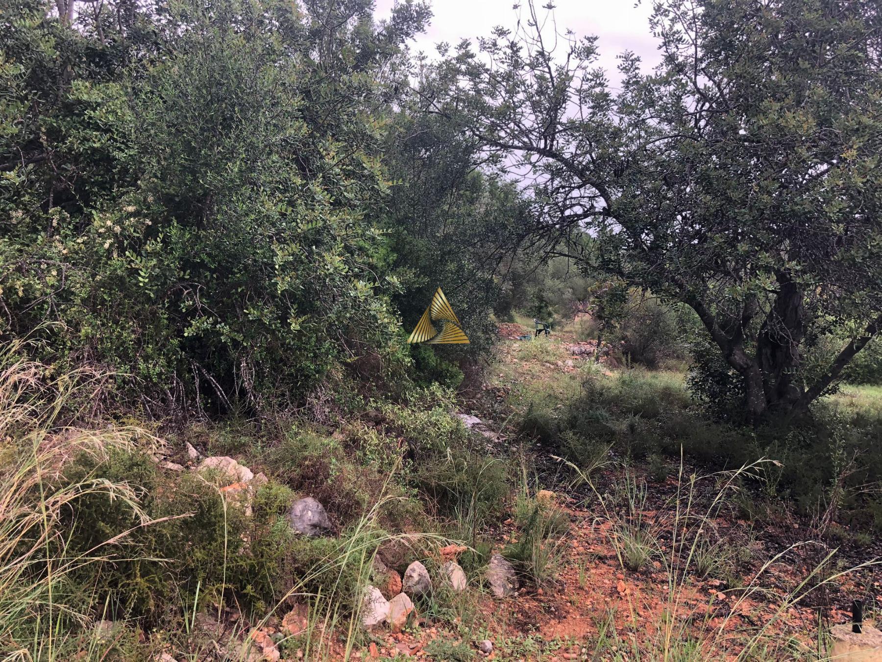 Venta de terreno en Peñíscola