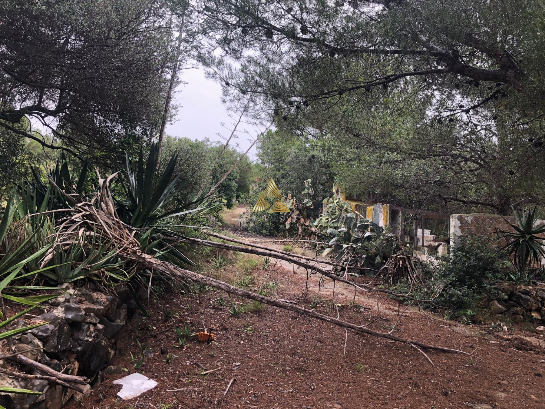 Venta de terreno en Peñíscola