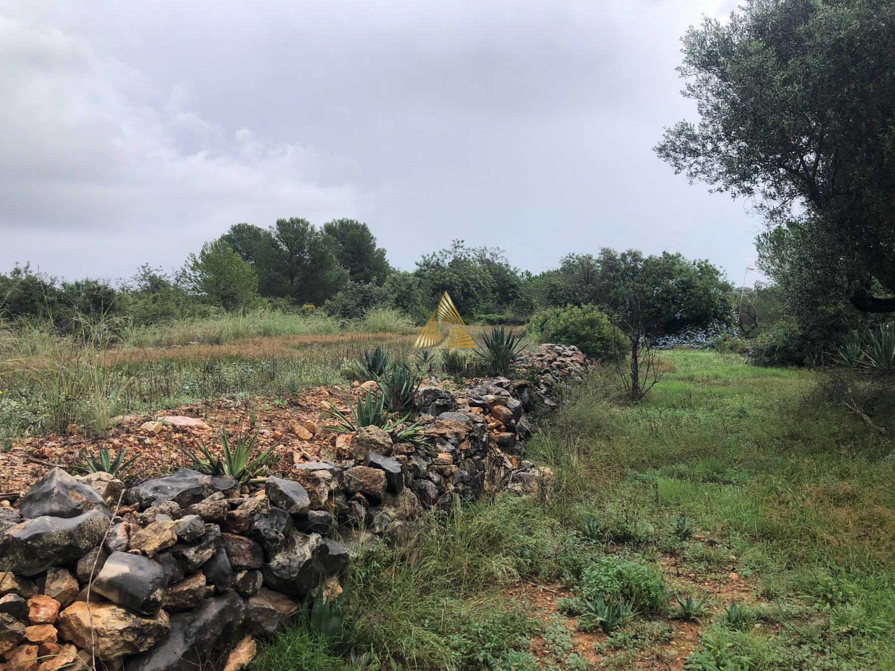 Venta de terreno en Peñíscola