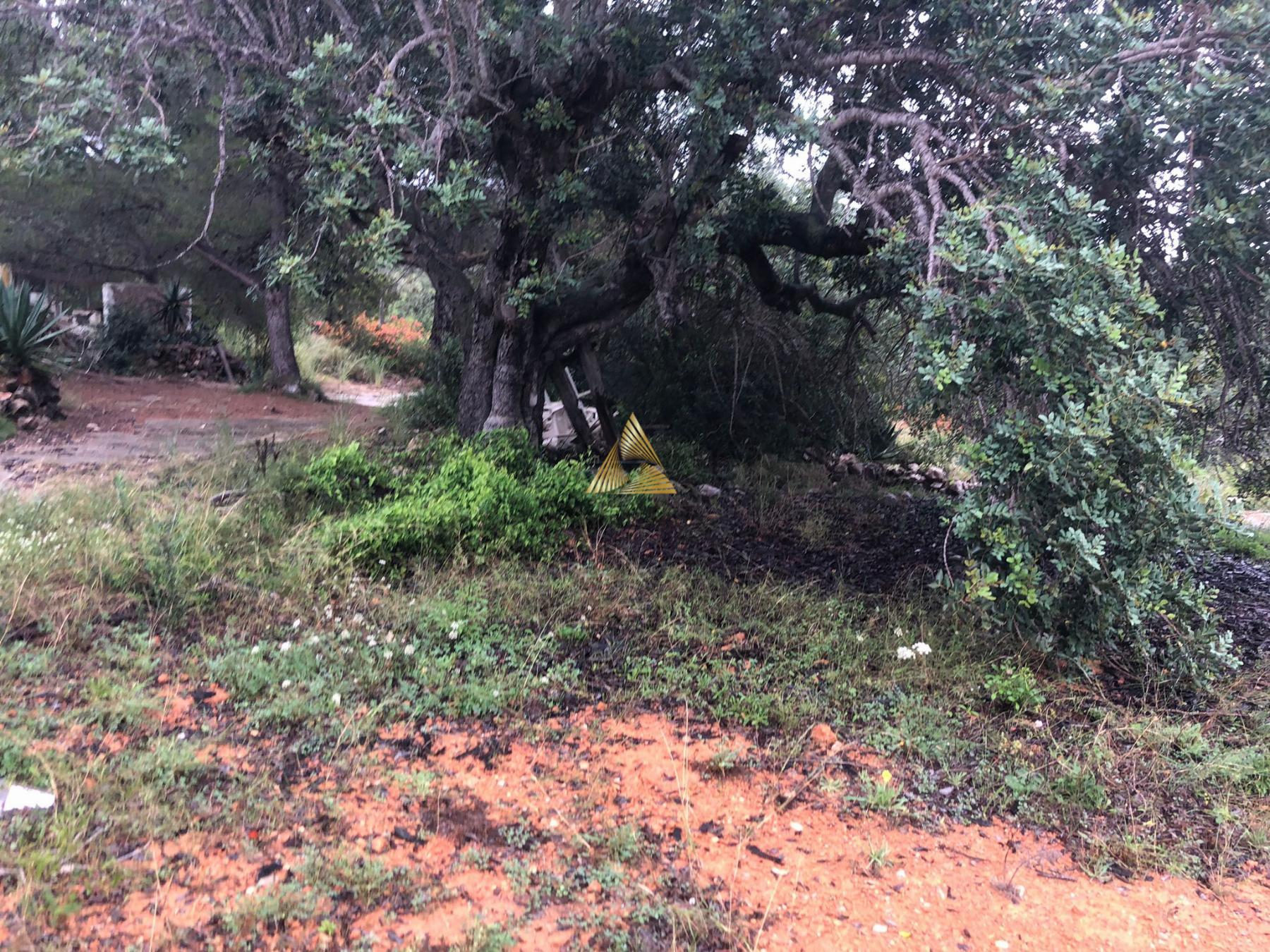 Venta de terreno en Peñíscola