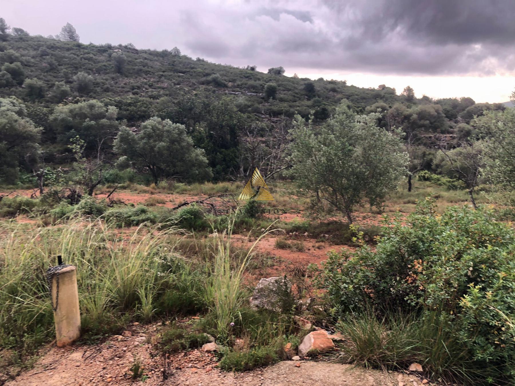 Venta de terreno en Peñíscola