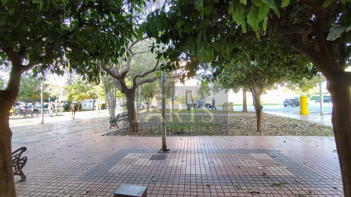 For rent of premises in Cartagena