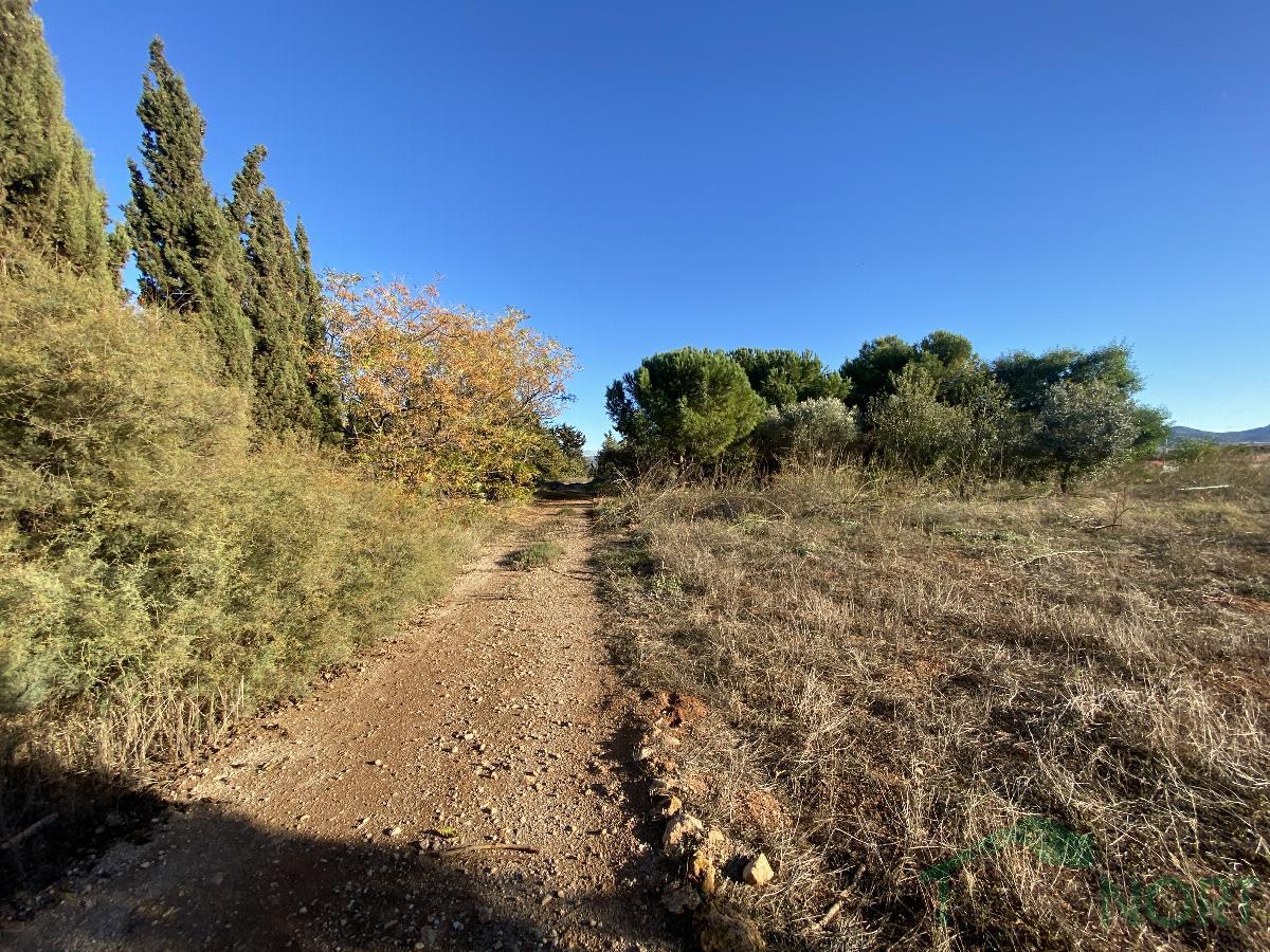 Venta de finca rústica en Cartagena