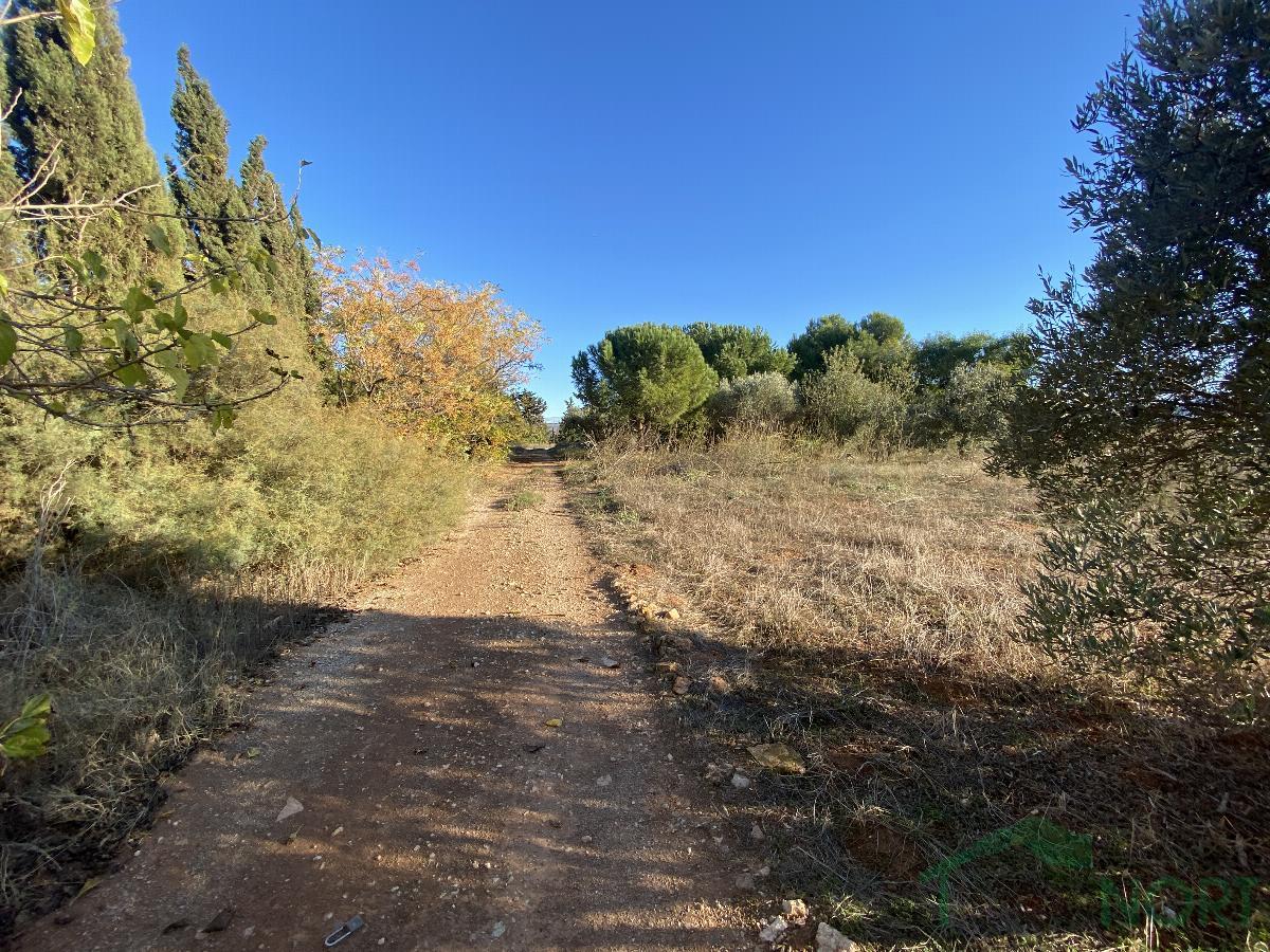 Venta de finca rústica en Cartagena