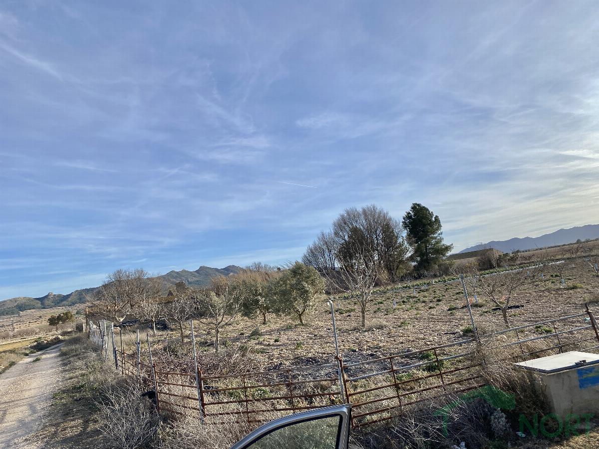 For sale of rural property in Caudete