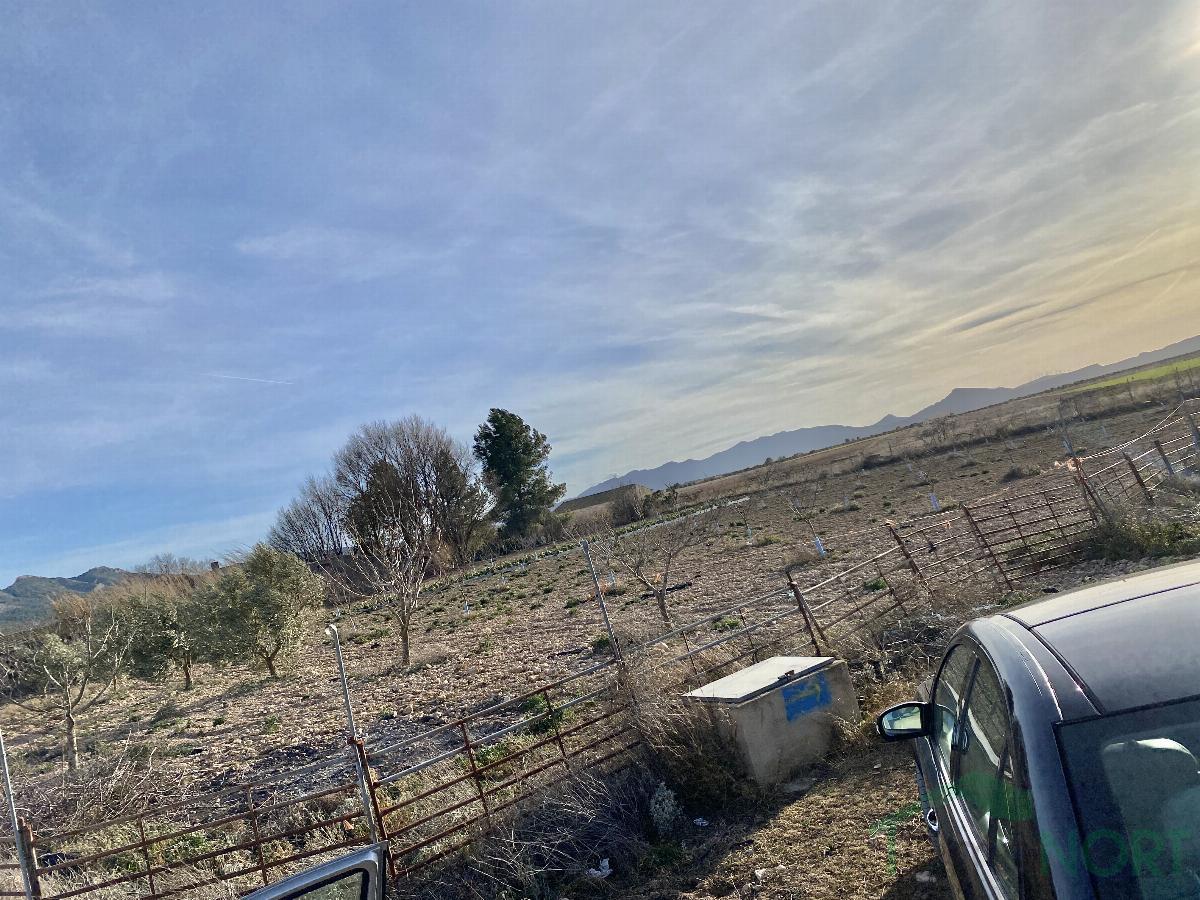 For sale of rural property in Caudete