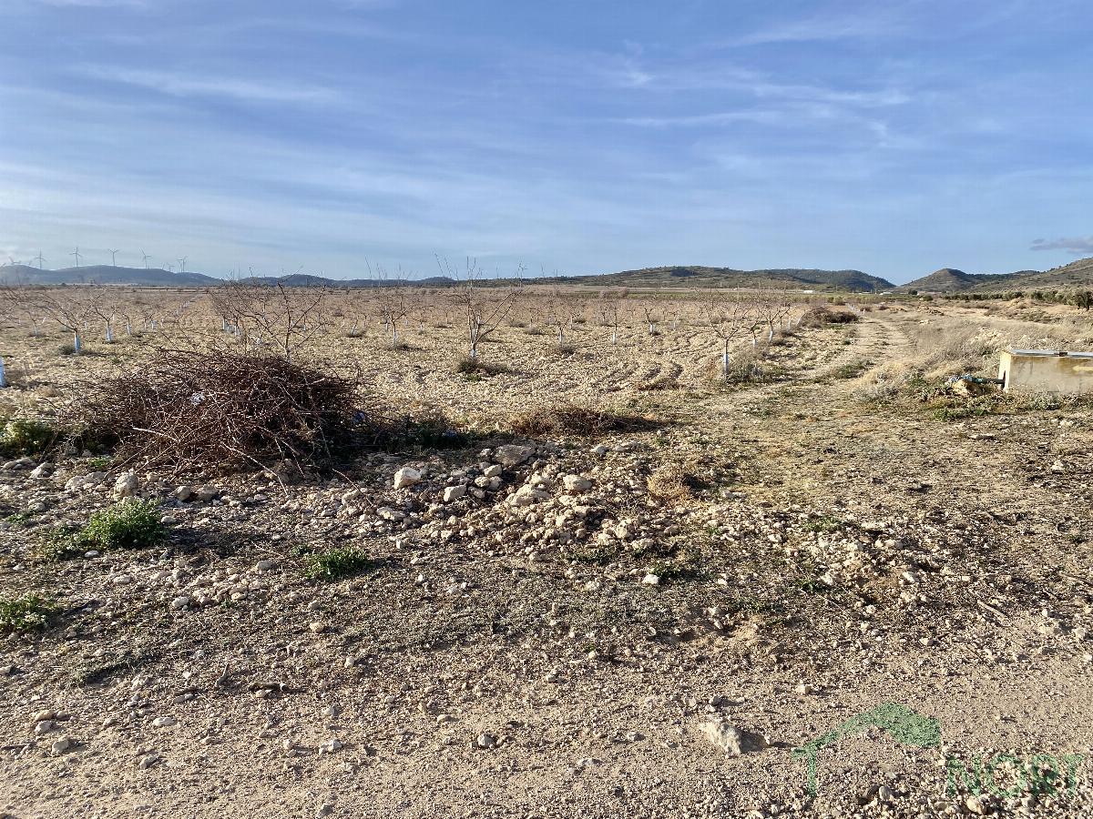For sale of rural property in Caudete
