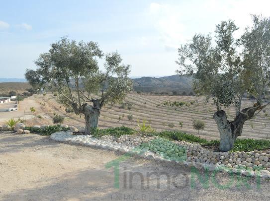 Venta de terreno en Las Torres de Cotillas