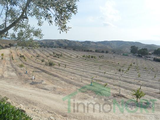 Venta de terreno en Las Torres de Cotillas