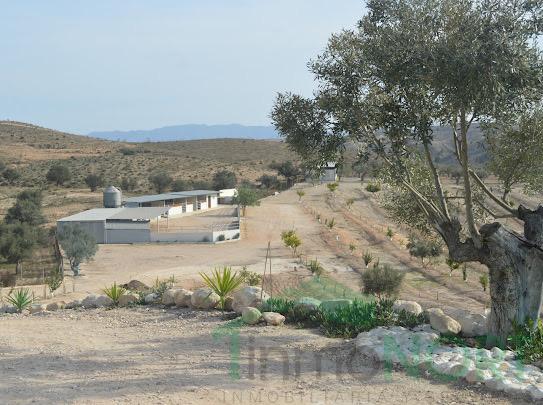 Venta de terreno en Las Torres de Cotillas