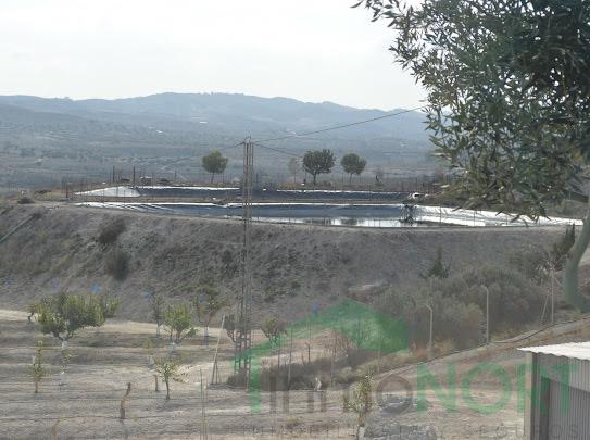 Venta de terreno en Las Torres de Cotillas