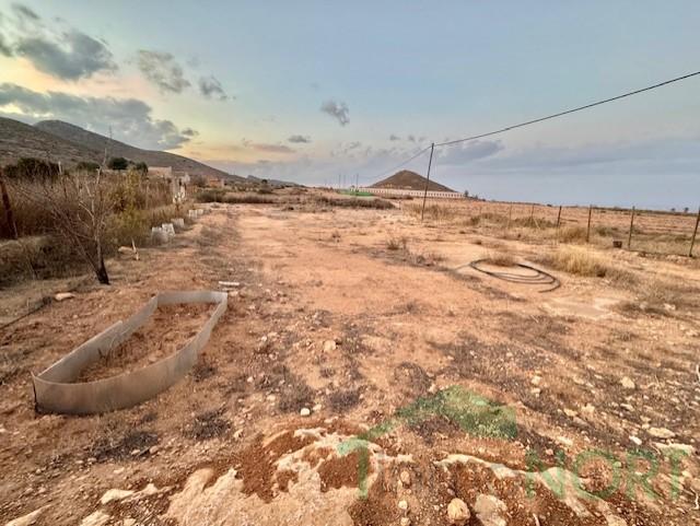 For sale of house in Fuente Álamo de Murcia