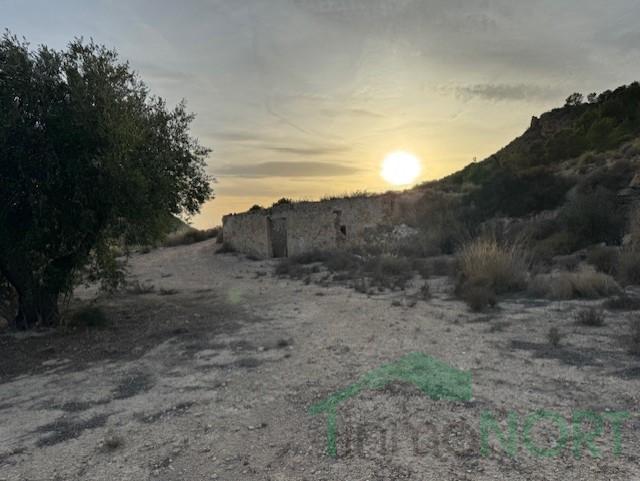 For sale of house in Fortuna