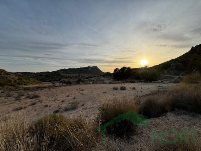 For sale of house in Fortuna