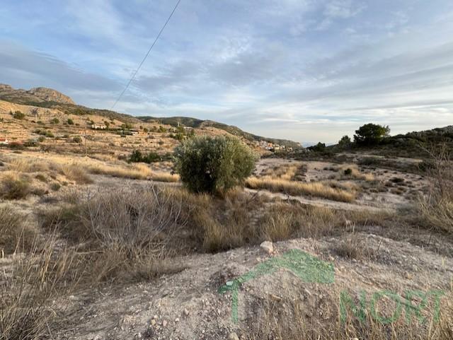 For sale of house in Fortuna
