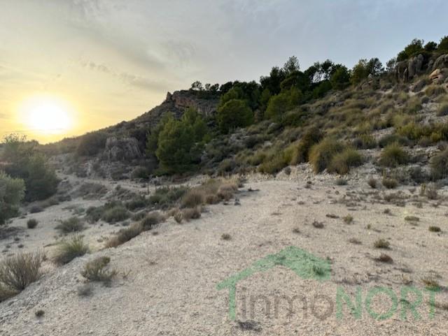 For sale of house in Fortuna