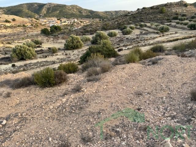 For sale of house in Fortuna