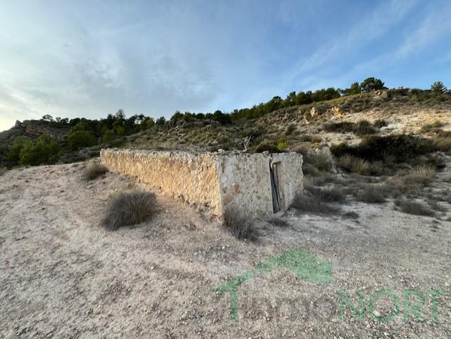 For sale of house in Fortuna