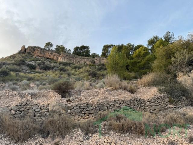 For sale of house in Fortuna