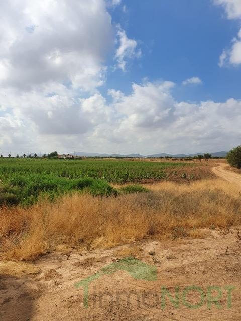 For sale of house in Fuente Álamo de Murcia