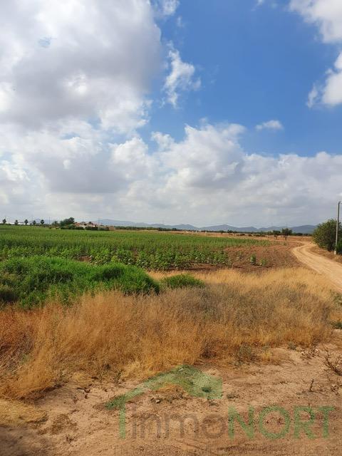For sale of house in Fuente Álamo de Murcia