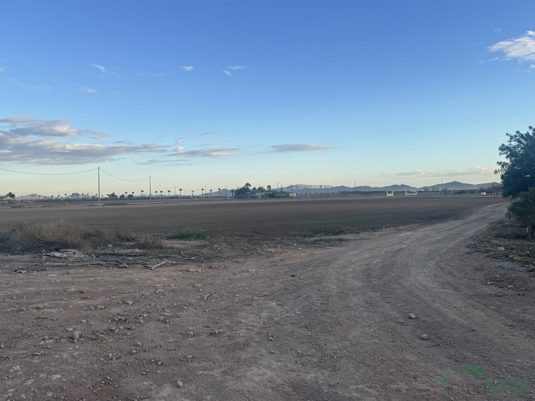 For sale of house in Fuente Álamo de Murcia